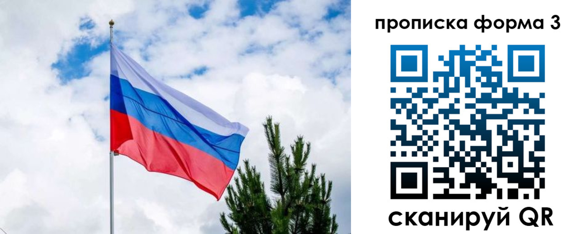 прописка для школы в Соколе